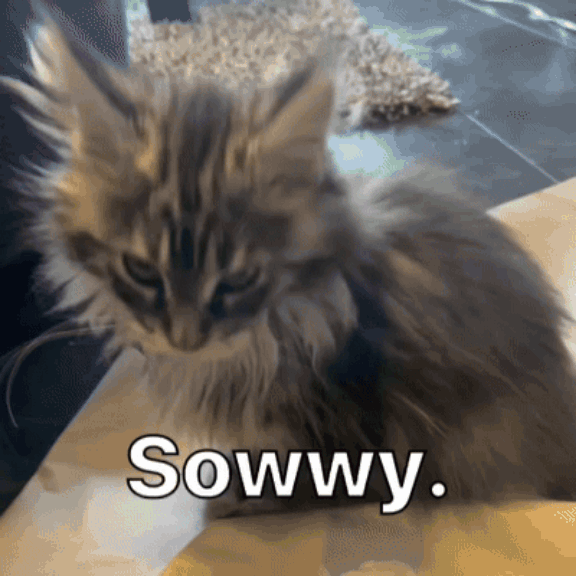 Sorry Sowwy Cat
